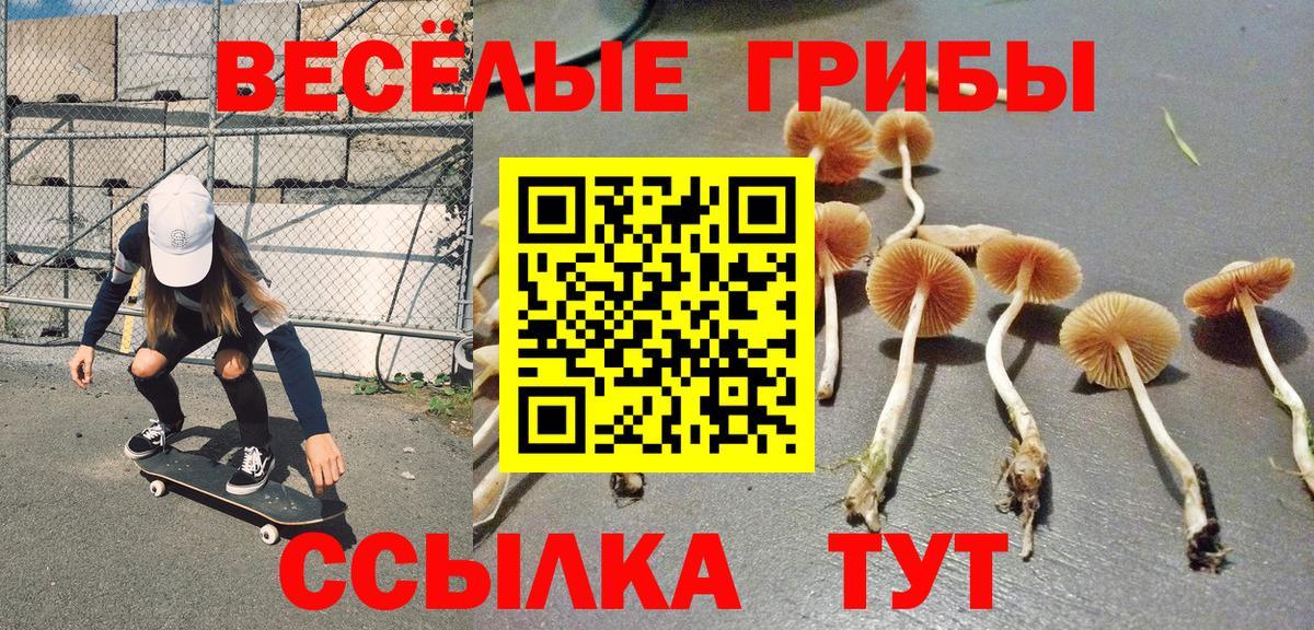 наркошоп  Псилоцибиновые грибы GOLDEN TEACHER  Бахчисарай  Вход с VPN  Псилоцибиновые грибы мухоморы 